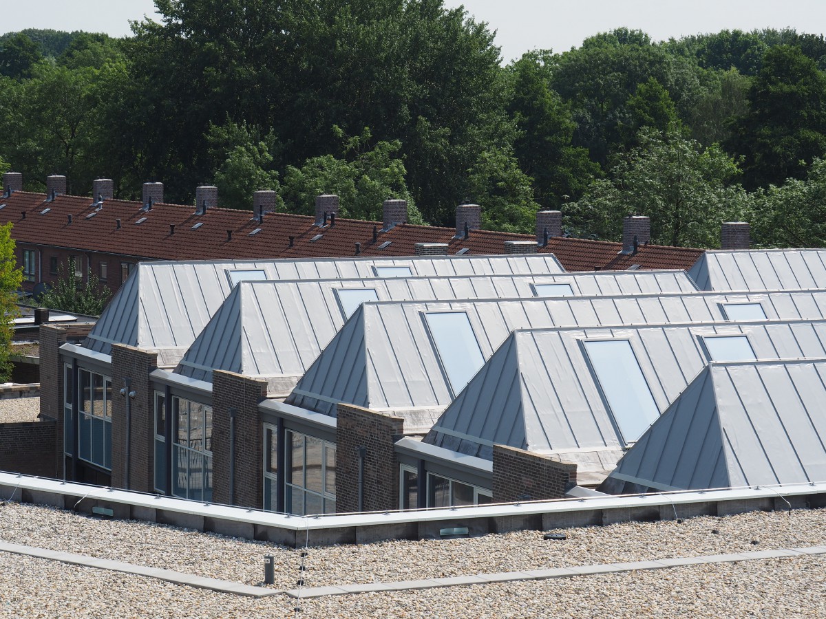 Workshops roof